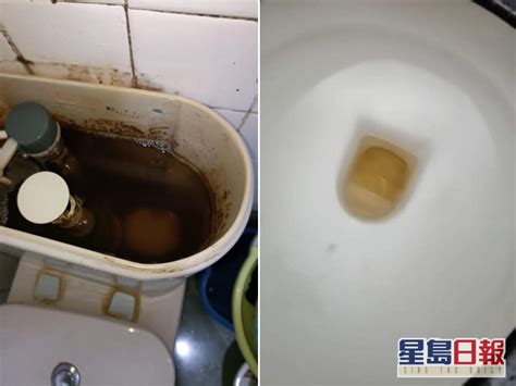 廁所水黃色